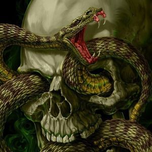 Meet your Posher, Shane